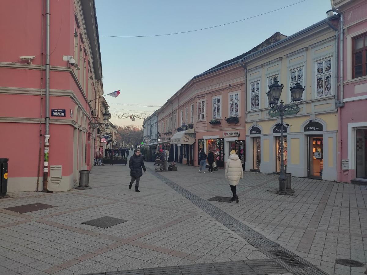 Woody Leilighet Novi Sad Eksteriør bilde
